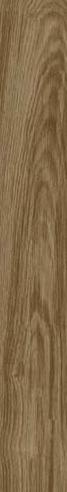 Onda 60x15