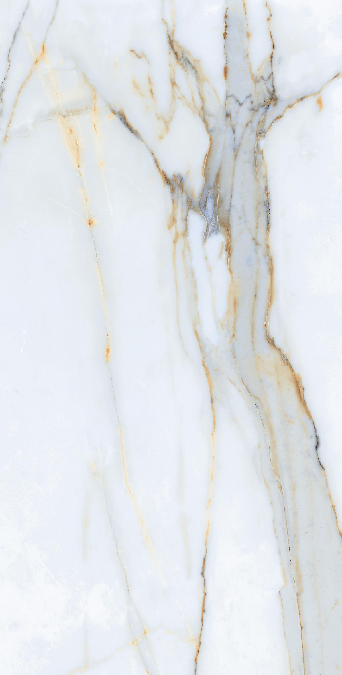 Carrara Venice 2
