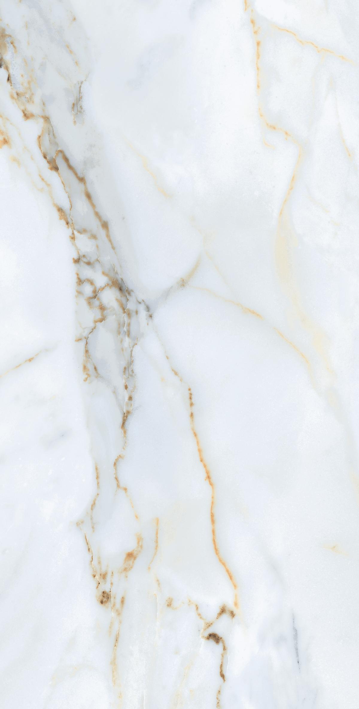 Carrara Venice 3