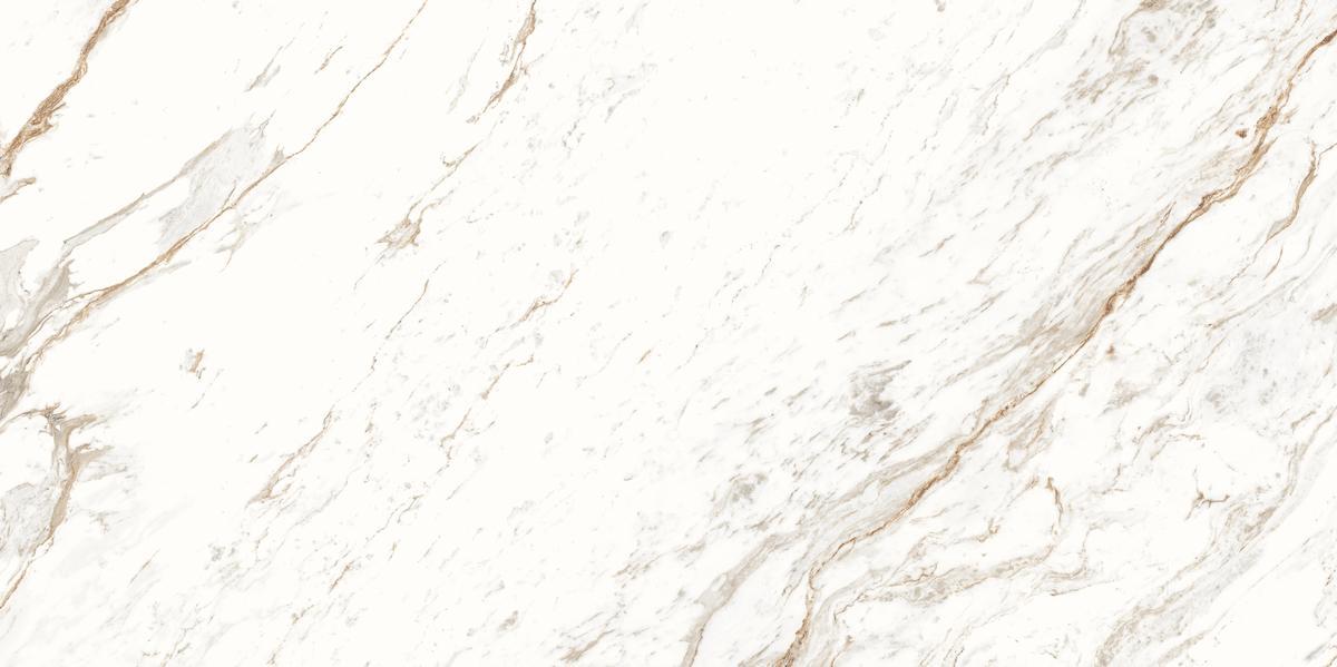 Chicago white