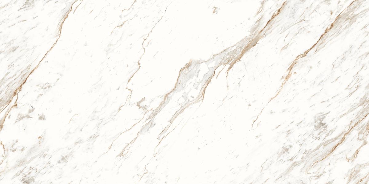 Chicago white 2